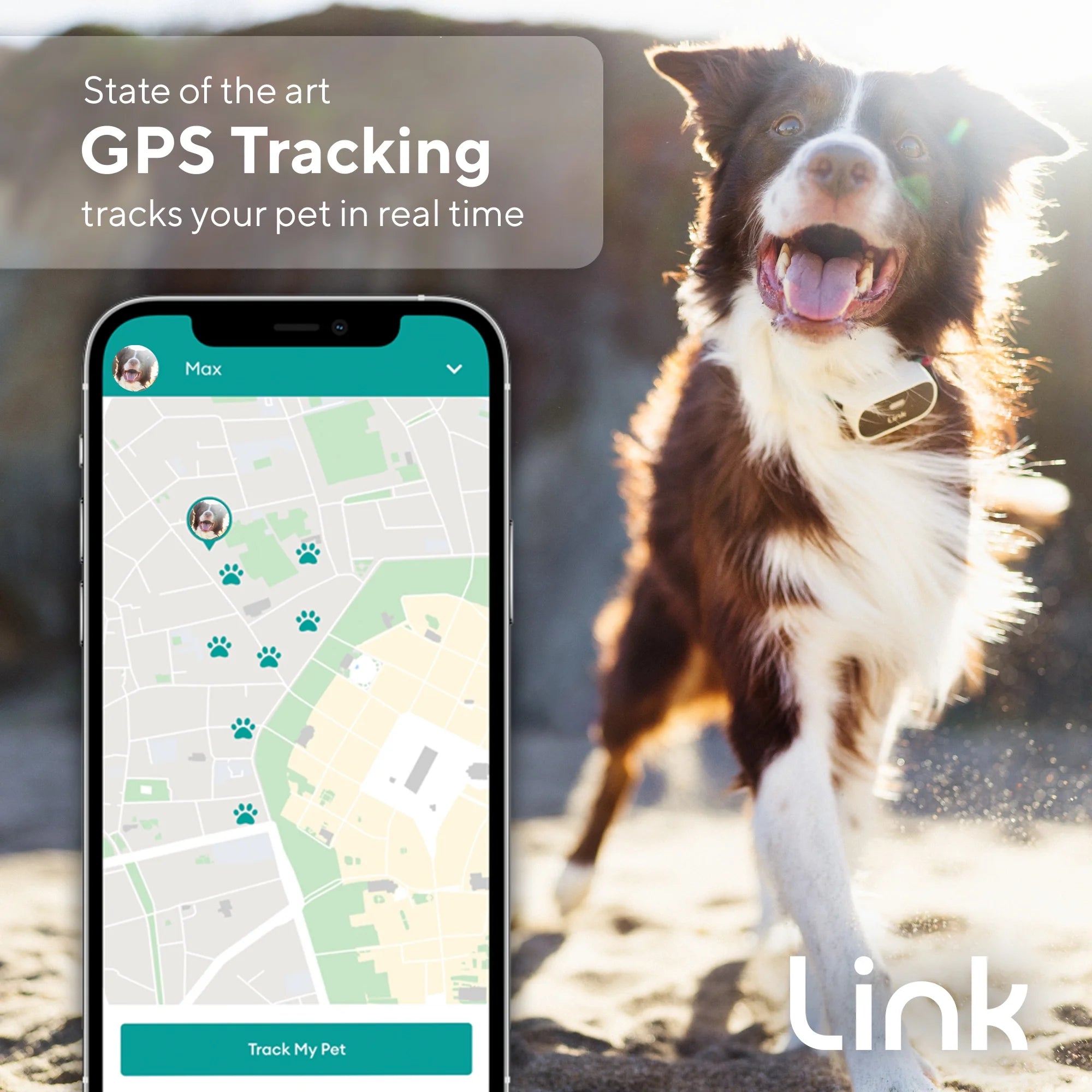 GPS Dog Tracker & Activity Monitor with Training Tools