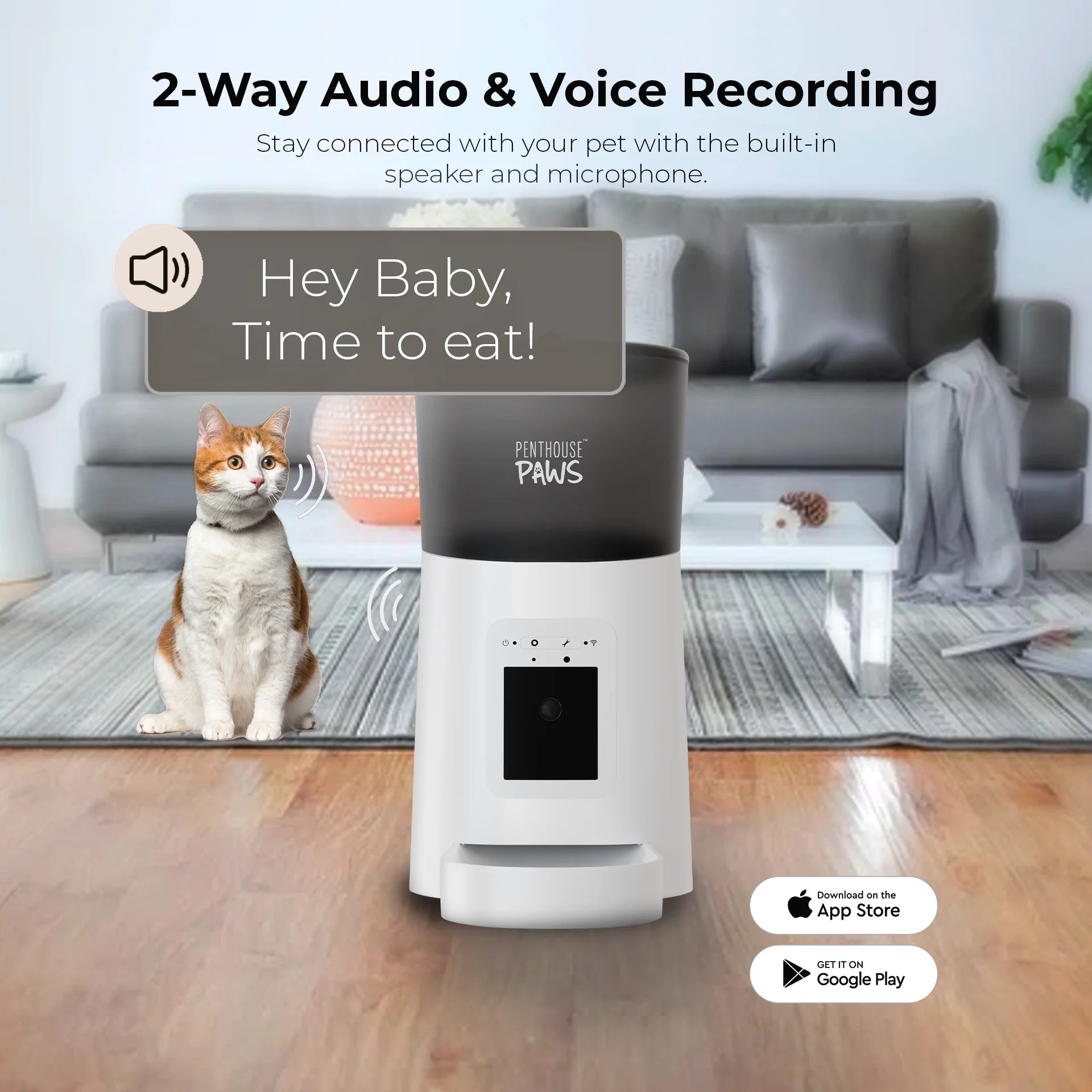 SmartFeed WiFi Automatic Cat Feeder with Built-in Camera – 6L Capacity, White, Remote Feeding & Monitoring