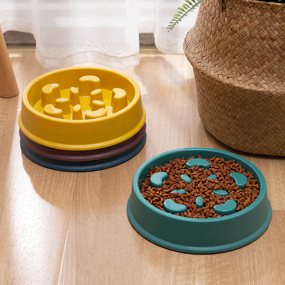 PawMaze Slow Feeder Bowl – Anti-Choke, Non-Slip Food Dish for Small Dogs & Cats