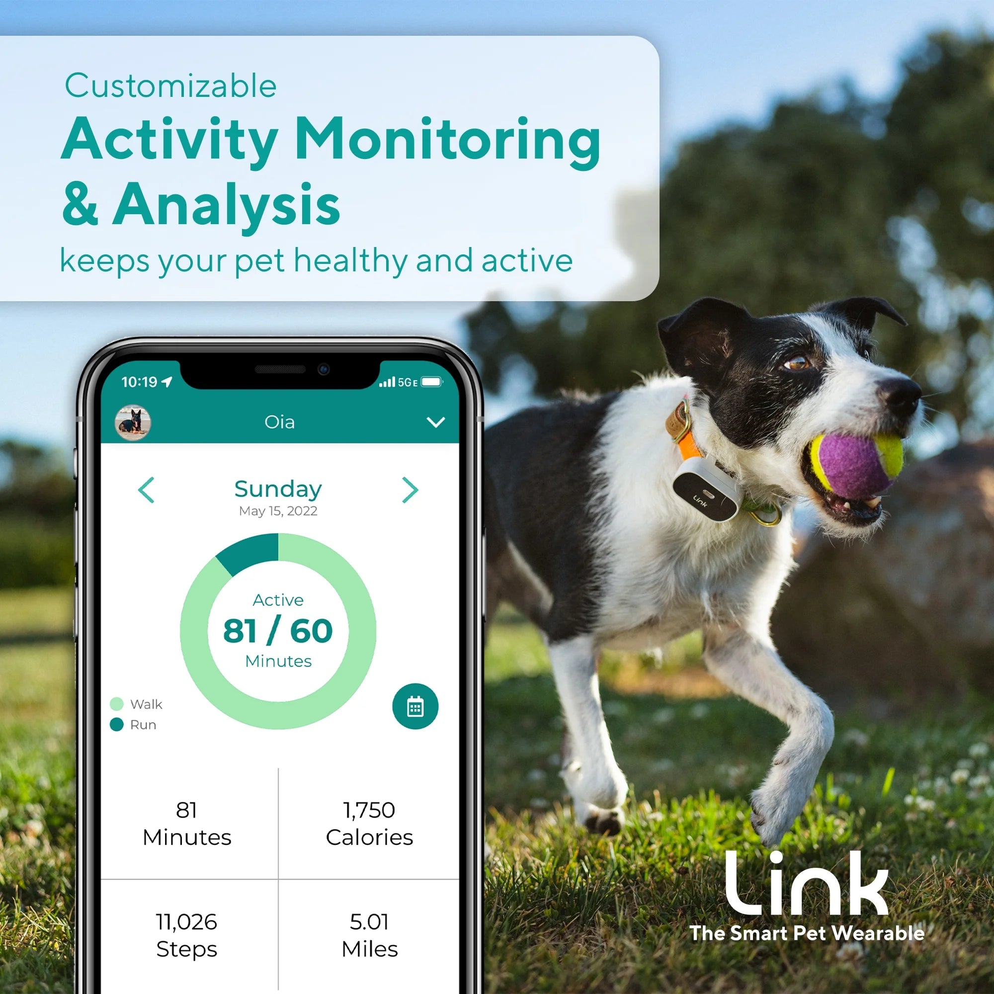 GPS Dog Tracker & Activity Monitor with Training Tools