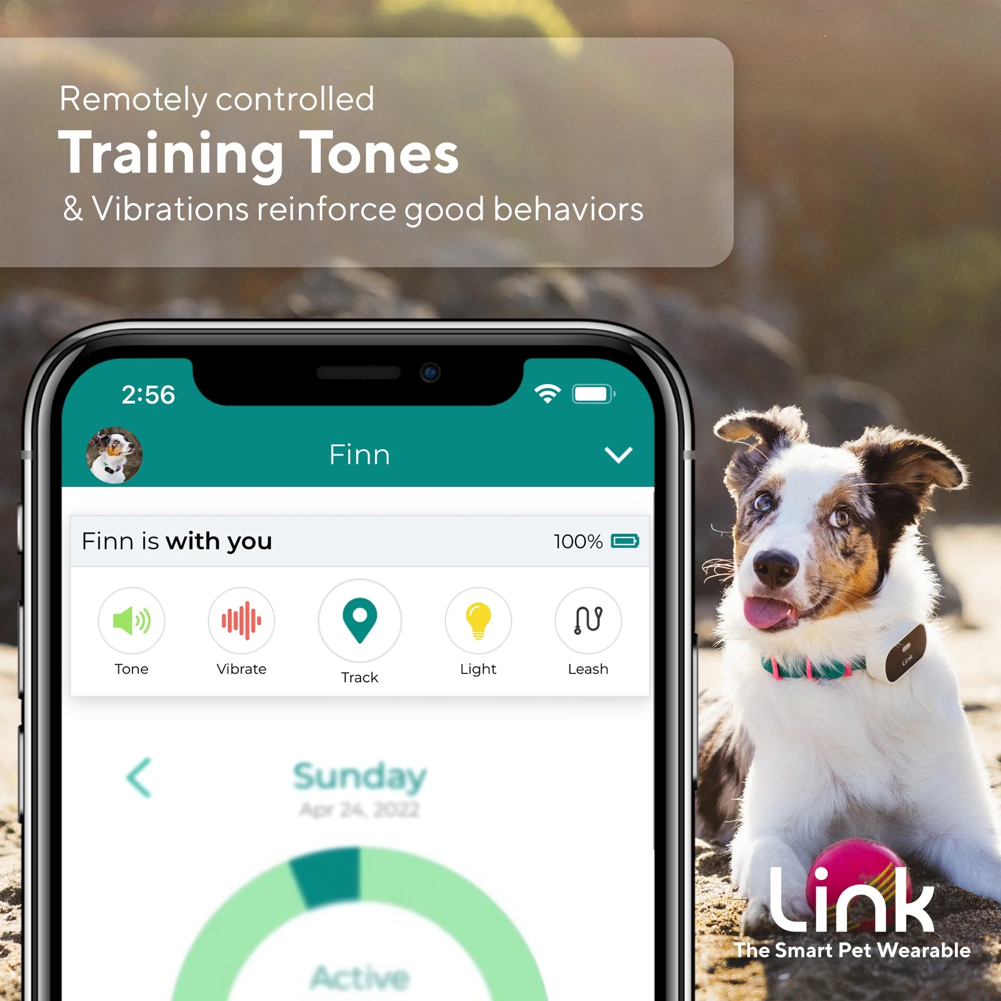 GPS Dog Tracker & Activity Monitor with Training Tools