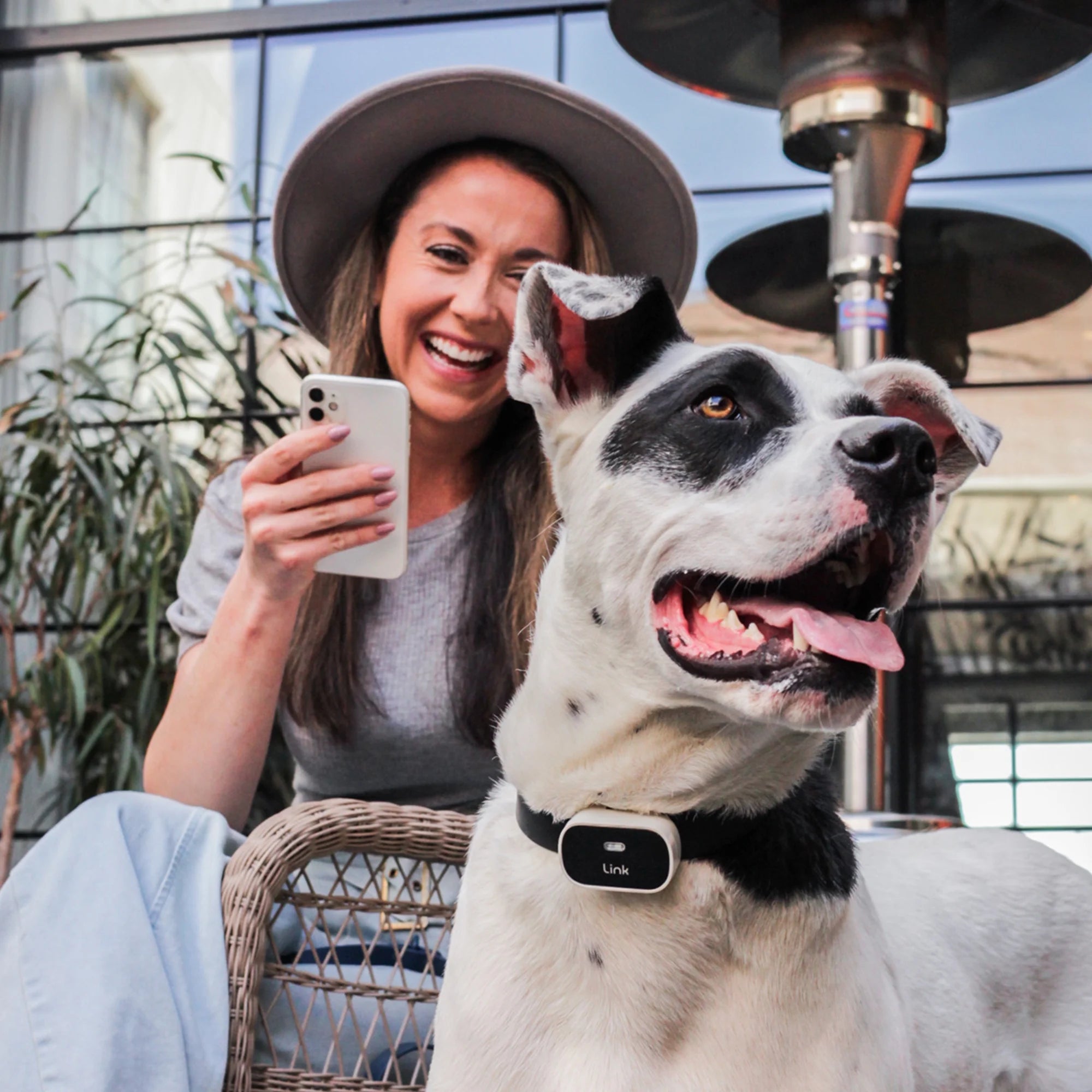 GPS Dog Tracker & Activity Monitor with Training Tools