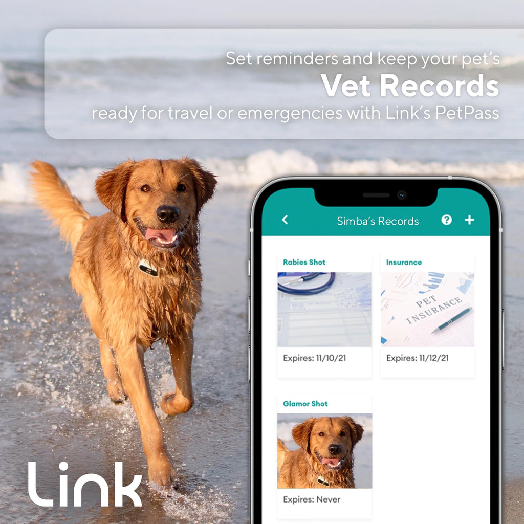 GPS Dog Tracker & Activity Monitor with Training Tools