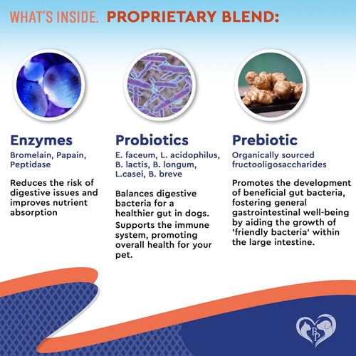 Digestive Supplement for Dogs & Cats – Probiotics, Enzymes & Prebiotics