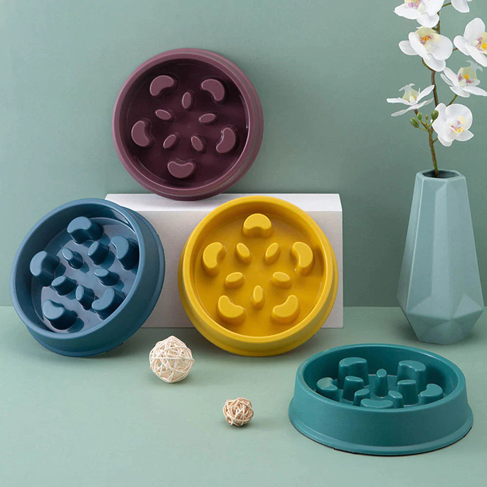 PawMaze Slow Feeder Bowl – Anti-Choke, Non-Slip Food Dish for Small Dogs & Cats