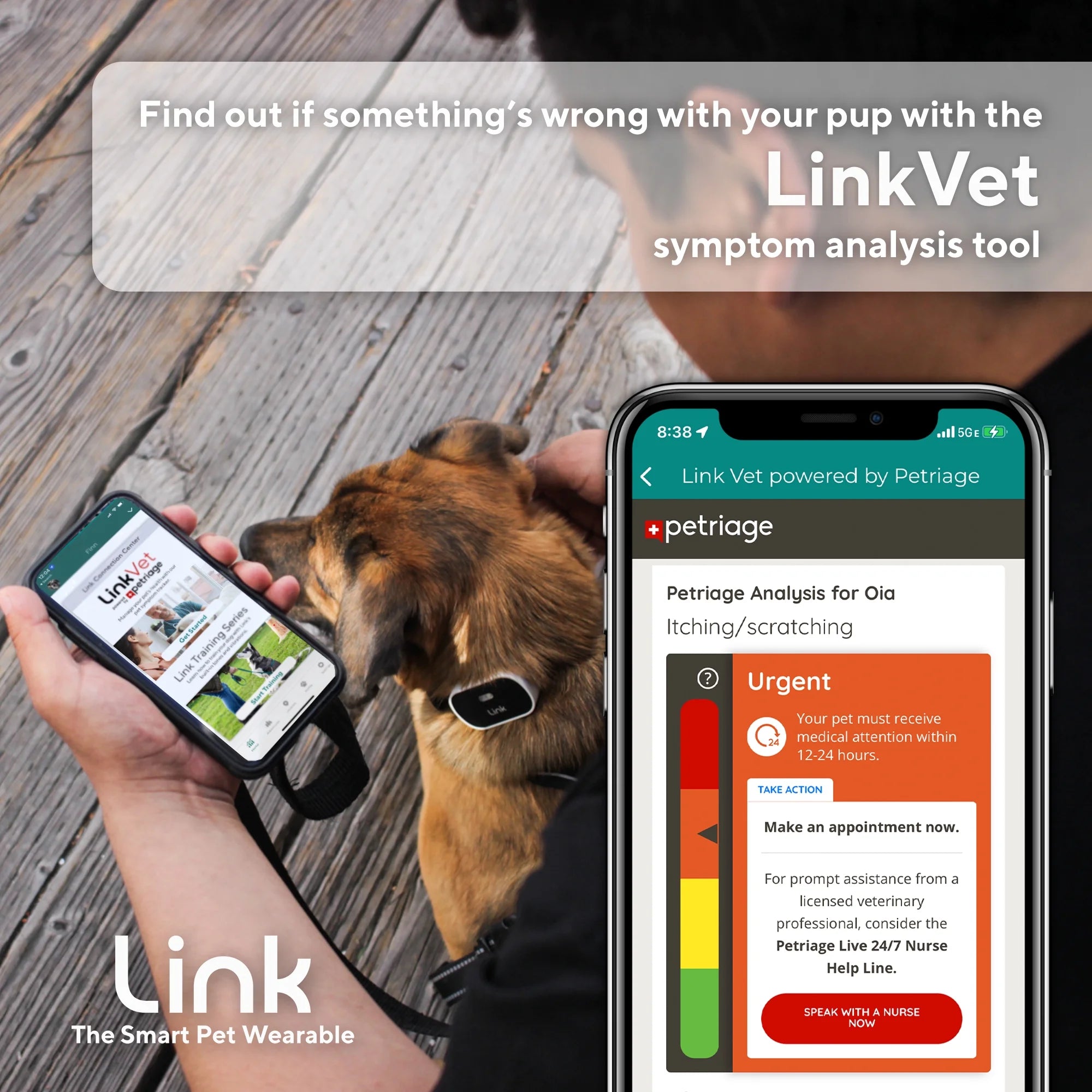 GPS Dog Tracker & Activity Monitor with Training Tools