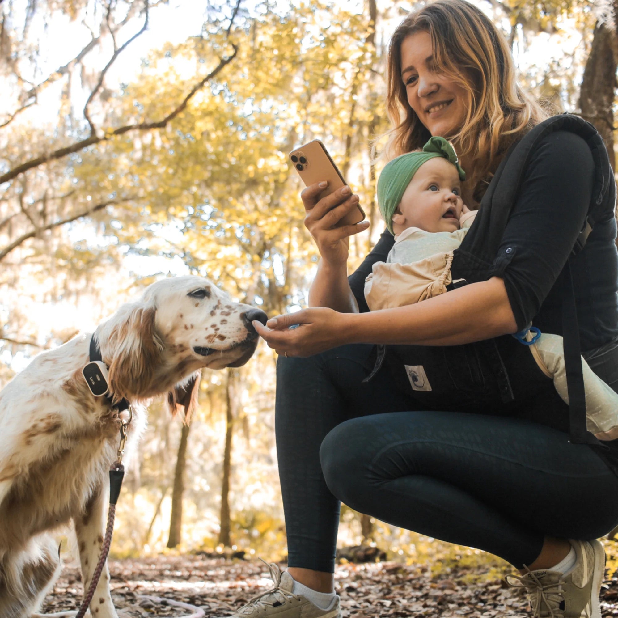 GPS Dog Tracker & Activity Monitor with Training Tools